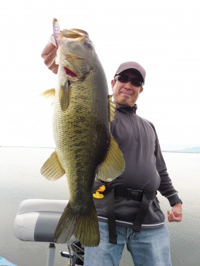 truth truth_news ブログ写真 2015/07/03