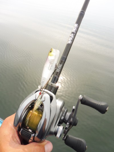 truth truth_news ブログ写真 2015/07/03