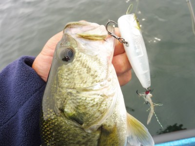 truth truth_news ブログ写真 2015/07/03