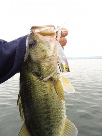 truth truth_news ブログ写真 2015/07/03