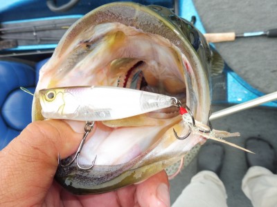 truth truth_news ブログ写真 2015/07/04