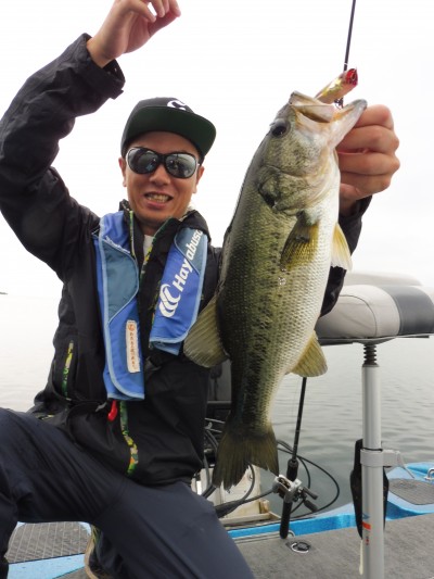 truth truth_news ブログ写真 2015/07/04