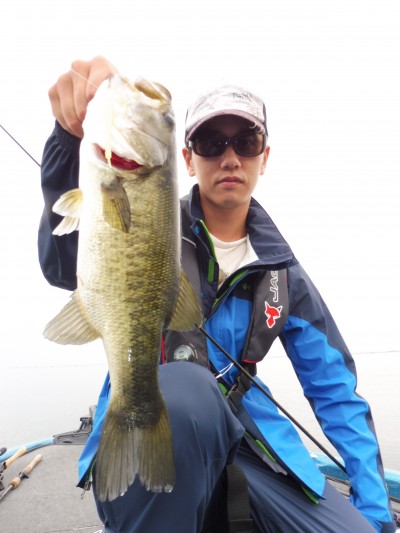 truth truth_news ブログ写真 2015/07/04