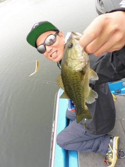 truth truth_news ブログ写真 2015/07/04