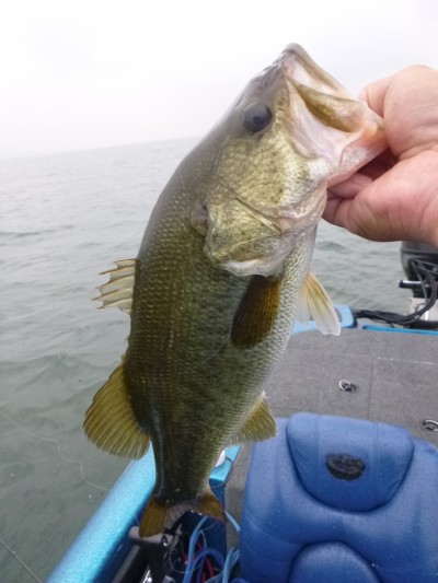 truth truth_news ブログ写真 2015/07/04