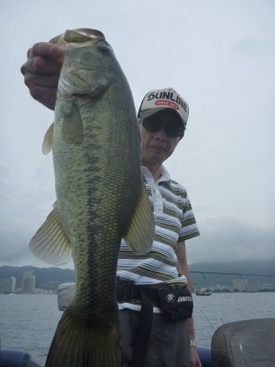 truth truth_news ブログ写真 2015/07/05