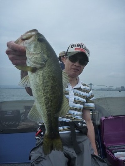 truth truth_news ブログ写真 2015/07/05