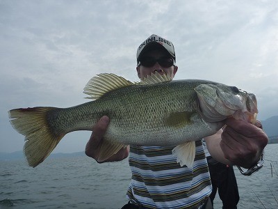 truth truth_news ブログ写真 2015/07/05