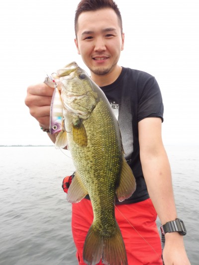 truth truth_news ブログ写真 2015/07/06