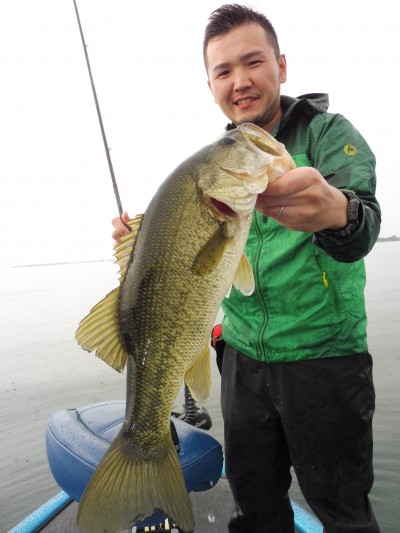 truth truth_news ブログ写真 2015/07/06