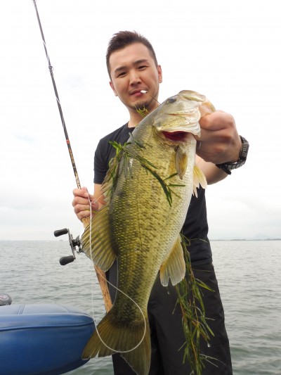 truth truth_news ブログ写真 2015/07/06