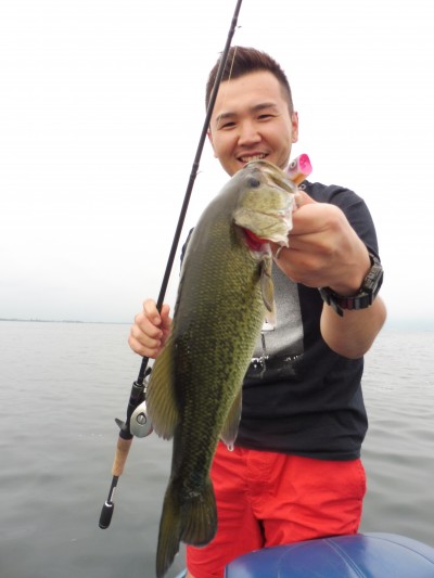 truth truth_news ブログ写真 2015/07/06