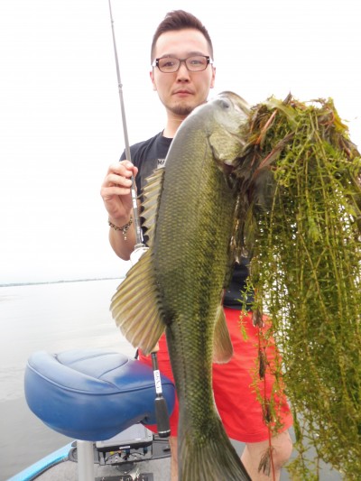 truth truth_news ブログ写真 2015/07/06