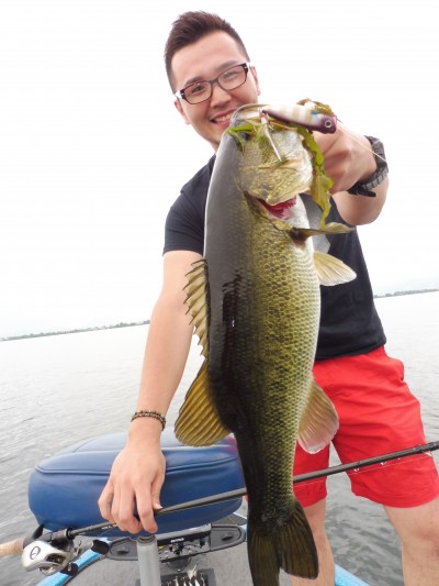 truth truth_news ブログ写真 2015/07/06