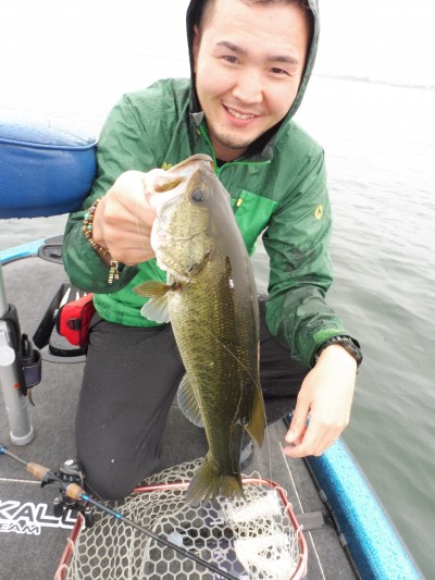 truth truth_news ブログ写真 2015/07/06