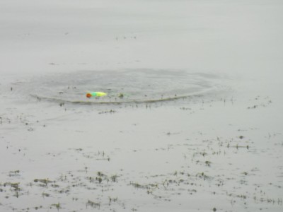 truth truth_news ブログ写真 2015/07/07