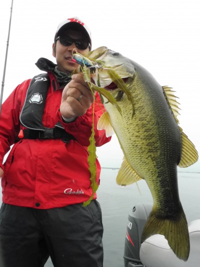 truth truth_news ブログ写真 2015/07/07