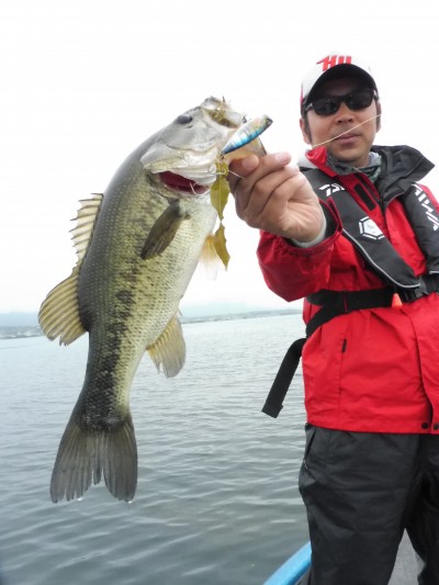 truth truth_news ブログ写真 2015/07/07