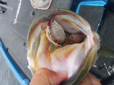 truth truth_news ブログ写真 2015/07/07