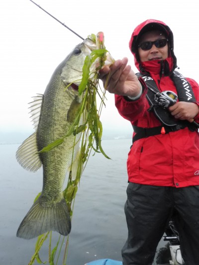 truth truth_news ブログ写真 2015/07/07