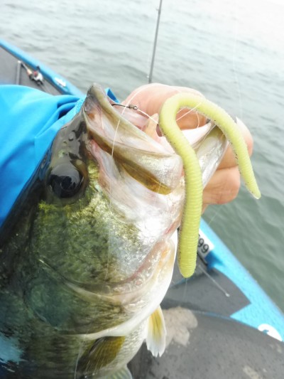 truth truth_news ブログ写真 2015/07/07