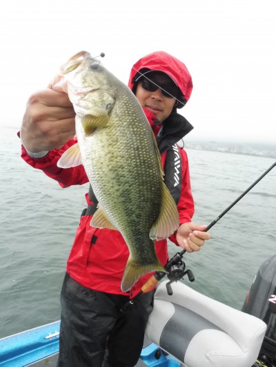 truth truth_news ブログ写真 2015/07/07