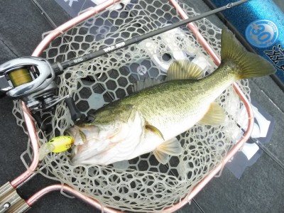 truth truth_news ブログ写真 2015/07/07