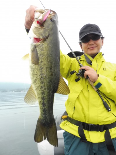 truth truth_news ブログ写真 2015/07/08