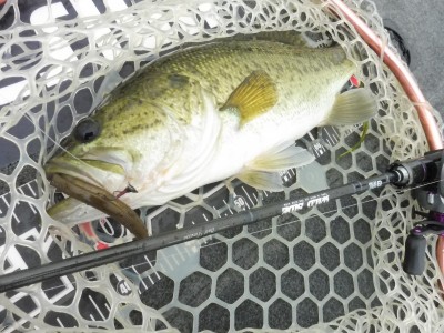 truth truth_news ブログ写真 2015/07/08