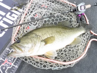 truth truth_news ブログ写真 2015/07/08