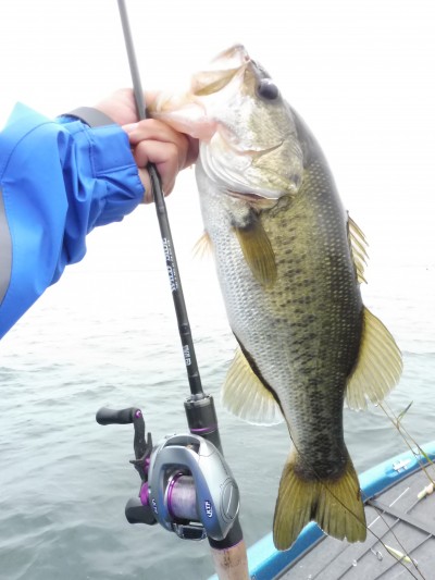 truth truth_news ブログ写真 2015/07/08