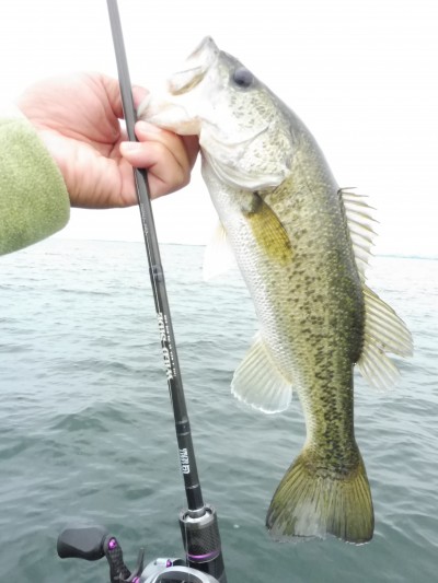 truth truth_news ブログ写真 2015/07/08