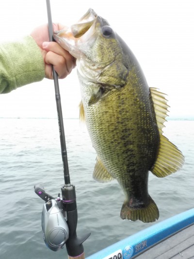 truth truth_news ブログ写真 2015/07/08