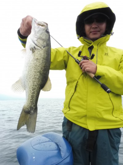 truth truth_news ブログ写真 2015/07/08