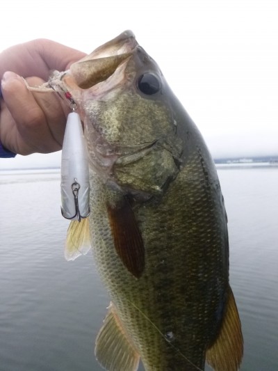 truth truth_news ブログ写真 2015/07/09