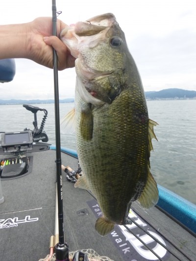 truth truth_news ブログ写真 2015/07/09