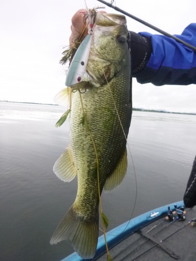 truth truth_news ブログ写真 2015/07/09