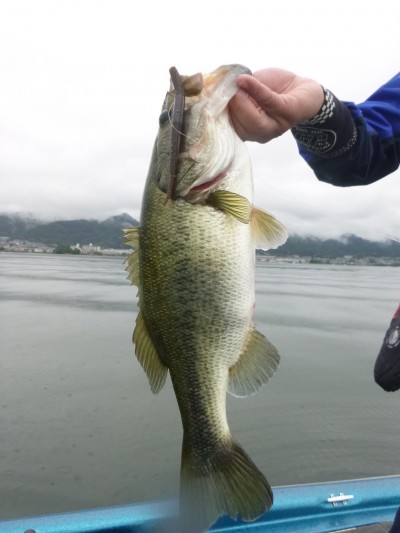 truth truth_news ブログ写真 2015/07/09