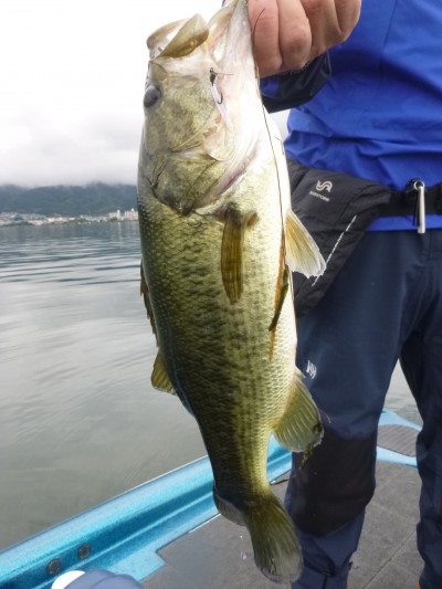 truth truth_news ブログ写真 2015/07/09