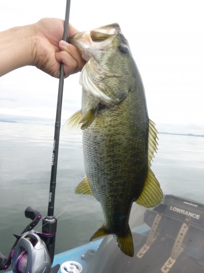 truth truth_news ブログ写真 2015/07/09