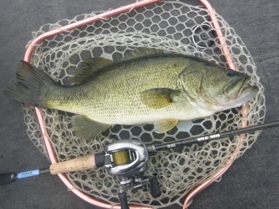 truth truth_news ブログ写真 2015/07/09