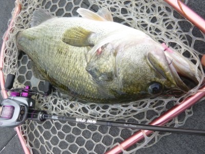 truth truth_news ブログ写真 2015/07/09