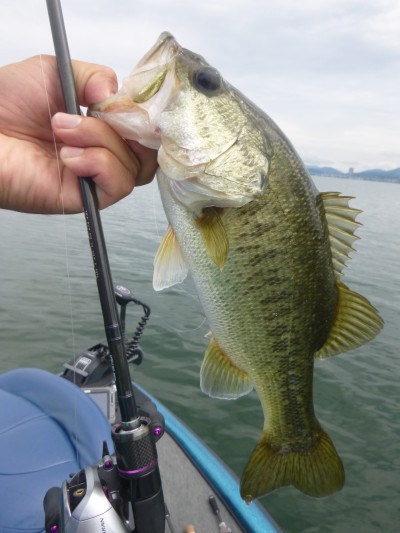 truth truth_news ブログ写真 2015/07/09