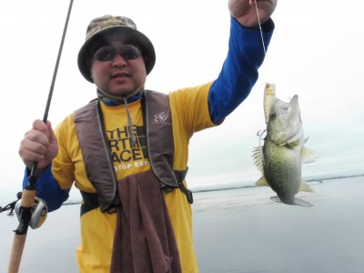 truth truth_news ブログ写真 2015/07/10