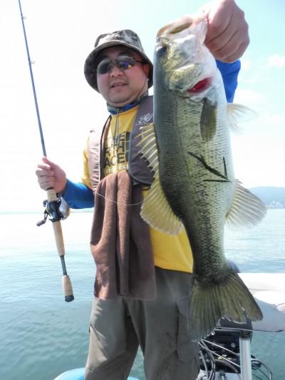 truth truth_news ブログ写真 2015/07/10