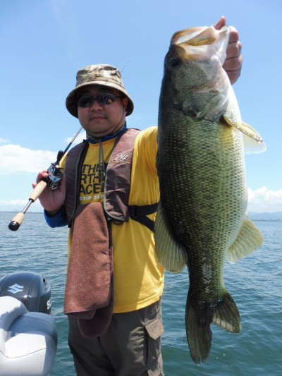 truth truth_news ブログ写真 2015/07/10