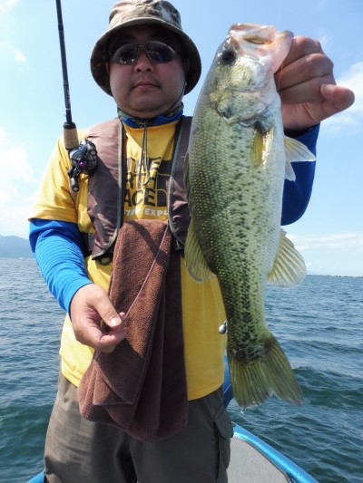 truth truth_news ブログ写真 2015/07/10