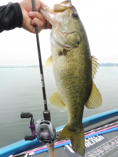 truth truth_news ブログ写真 2015/07/10