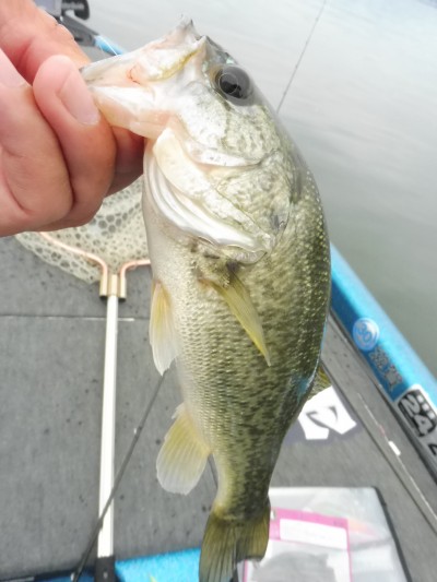 truth truth_news ブログ写真 2015/07/10