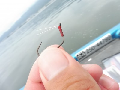 truth truth_news ブログ写真 2015/07/10